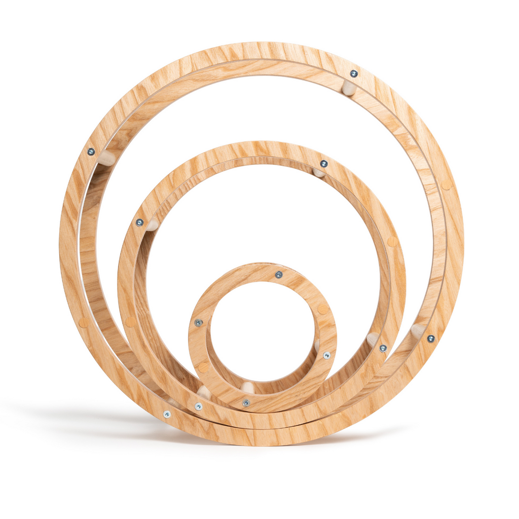 Montessori Toy Rings